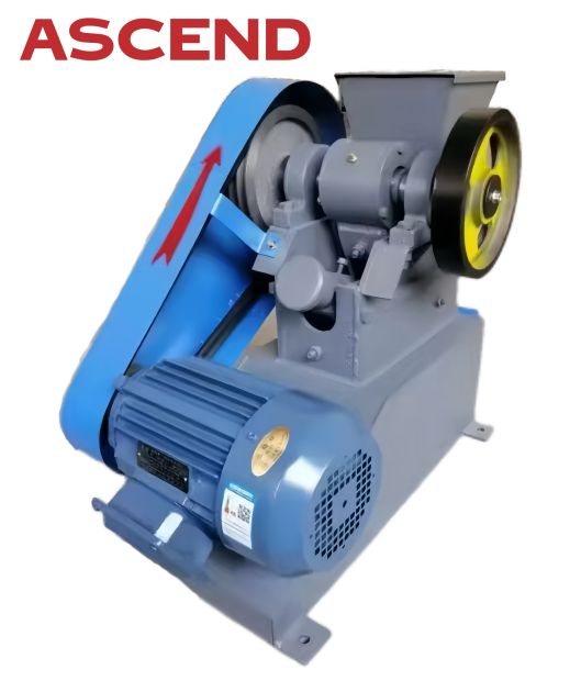 Орыс тілінде бисексуалдың туған күні